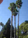 The image &ldquo;<a href=